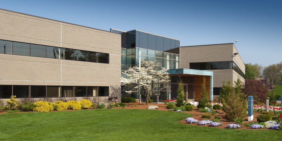 business bankruptcy attorney